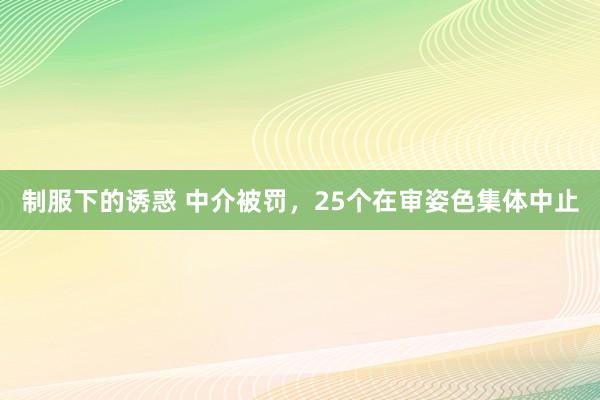 制服下的诱惑 中介被罚，25个在审姿色集体中止