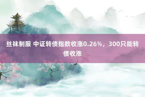 丝袜制服 中证转债指数收涨0.26%，300只能转债收涨