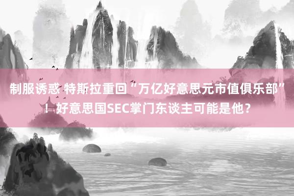 制服诱惑 特斯拉重回“万亿好意思元市值俱乐部”！好意思国SEC掌门东谈主可能是他？