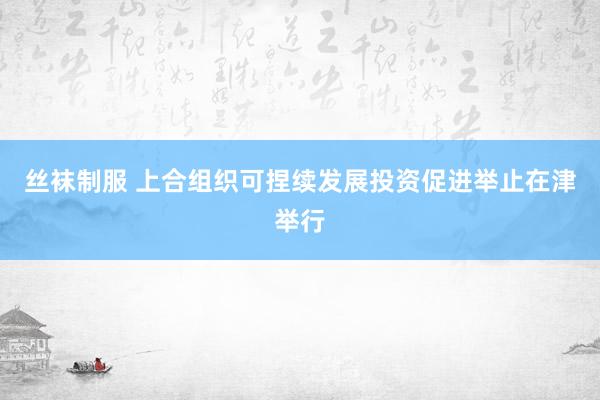 丝袜制服 上合组织可捏续发展投资促进举止在津举行